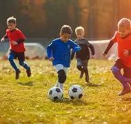 帕利尼亚,传闻风波无,损专注,广州赛马会,赛程安排,赛果查询,马匹资料,赛事动态