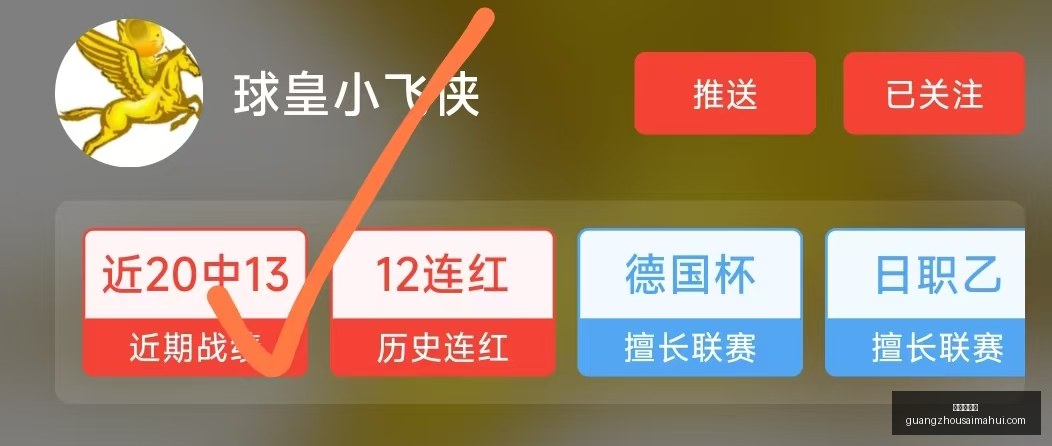 网易游戏新,财报出炉,电竞业务再,广州赛马会,赛程安排,赛果查询,马匹资料,赛事动态