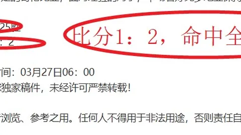 瑞典超分析：索尔纳VS哈尔姆斯塔德专家推荐